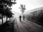 (Representative) Two French tourists were spotted stranded on a deserted road by the villagers on Thursday night.