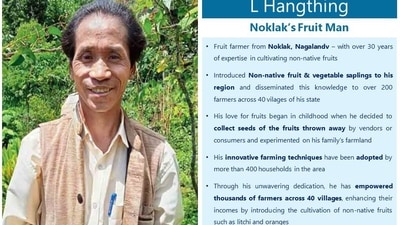 L Hangthing is a fruit farmer from Noklak who specialises in cultivating non-native fruits. L Hangthing is a fruit farmer from Noklak who specialises in cultivating non-native fruits.