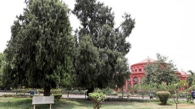 Until now, traffic was prohibited inside the park on second and fourth Saturdays, designated public holidays. (HT_PRINT)