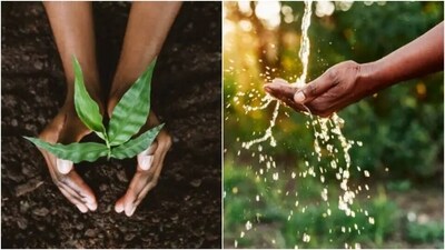 Republic Day 2025: Here are a few eco-friendly Republic Day practices to ensure that we contribute to the development of the nation, and the environment. (Unsplash) Republic Day 2025: Here are a few eco-friendly Republic Day practices to ensure that we contribute to the development of the nation, and the environment. (Unsplash)