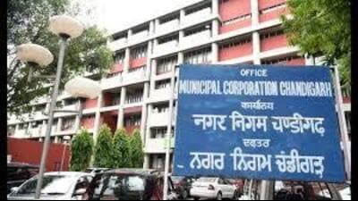 Though the IIPA has already offered a fee of ₹25 lakh to conduct the audit over a period of six months, the Chandigarh civic body is yet to finalise the contract. (HT File Photo) Though the IIPA has already offered a fee of ₹25 lakh to conduct the audit over a period of six months, the Chandigarh civic body is yet to finalise the contract. (HT File Photo)