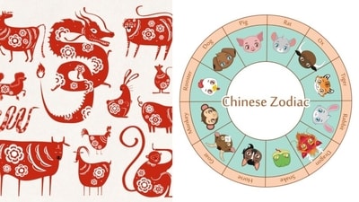 How to know your Chinese zodiac animal? You can do this using basic calculations. Take your birth year and divide it by 12. If there's no remainder, treat it as 0. Then, check your zodiac animal based on the remainder. (Freepik)