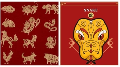 In the Chinese Zodiac, the personality traits of people born in the year of the snake are smart, wise, intuitive and mysterious. Here are the Snake years in the Chinese Zodiac: 1929, 1941, 1953, 1965, 1977, 1989, 2001, 2013, 2025, 2037. If you were born in any of these years, you're a Snake.&nbsp; (PC: Freepik )