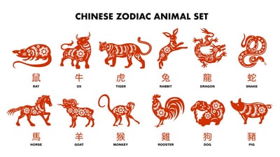 <p>There are 12 zodiac animals. If your remainder is 0, then your zodiac animal is the Rat. If your remainder is 1, then it's the Ox, and so on, following the order of the animals. Here's the entire order when you count from 0 to 11- rat (0), ox, tiger, rabbit, dragon, snake, horse, goat, monkey, rooster, dog and pig(11). The counting starts from 0 to 11.&nbsp;</p> (Freepik)
