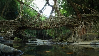Mawlynnong is located in the Khasi Hills of Meghalaya. In 2003, it was named the ‘cleanest village in Asia’ by Discover India magazine