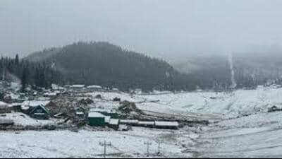 The MeT said a heavy snow spell is expected on February 1 and 2 which will mark the start of the second phase of winter called Chillai Khurd (moderate cold) which ends in another 20 days. (HT representational) The MeT said a heavy snow spell is expected on February 1 and 2 which will mark the start of the second phase of winter called Chillai Khurd (moderate cold) which ends in another 20 days. (HT representational)