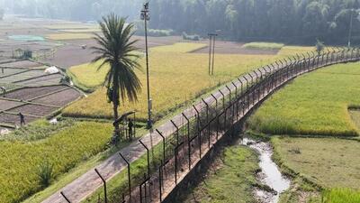 The barbed wire fencing in Tripura (Representative image) (X/@BSF_Tripura)
