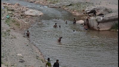 The committee’s investigation followed sampling at both upstream and downstream points of the Ghaggar River, near the Ambala-Chandigarh Expressway bridge in Zirakpur, to evaluate its water quality after it receives water from the Sukhna Choe. (HT File) The committee’s investigation followed sampling at both upstream and downstream points of the Ghaggar River, near the Ambala-Chandigarh Expressway bridge in Zirakpur, to evaluate its water quality after it receives water from the Sukhna Choe. (HT File)
