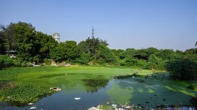 The initiative stems from the Uttar Pradesh Groundwater (Management and Regulation) Rules, 2020 that mandates all private entities with plots of 300 square metres or more to instal rainwater harvesting structures, and ensure groundwater recharge within their premises. (Sunil Ghosh/HT Photo) The initiative stems from the Uttar Pradesh Groundwater (Management and Regulation) Rules, 2020 that mandates all private entities with plots of 300 square metres or more to instal rainwater harvesting structures, and ensure groundwater recharge within their premises. (Sunil Ghosh/HT Photo)