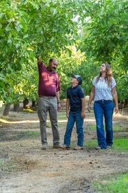 Enjoy the fresh crop of California walnuts.