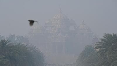 A lightly foggy morning gave way to a warm day. (Sanjeev Verma/HT Photo) A lightly foggy morning gave way to a warm day. (Sanjeev Verma/HT Photo)