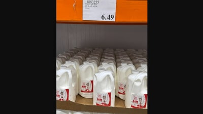 Man resonated with the man's shocked reaction to finding Indian brand Amul's milk in USA's Texas. (X/@ramprasad_c) Man resonated with the man's shocked reaction to finding Indian brand Amul's milk in USA's Texas. (X/@ramprasad_c)