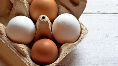 Egg prices expected to soar across US (Pixabay - representational image) Egg prices expected to soar across US (Pixabay - representational image)