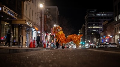 Local residents in a lion costume perform during the celebration on the eve of the Lunar New Year in the area known as Chinatown in Washington, U.S. January 28, 2025. REUTERS/Carlos Barria (REUTERS)