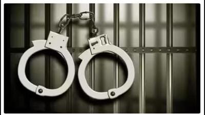 The accused were booked under Sections 304 (snatching) and 3(5) (act done by several persons in furtherance of common intention) of the Bharatiya Nyaya Sanhita (BNS) at the Balongi police station in Mohali. (HT Photo)