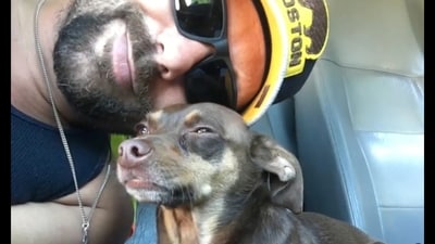 Paul Guilbeault reunited with his lost dog Damian after 8 years while on his way to help LA wildfire victims (Paul Victor Guilbeault/Instagram) Paul Guilbeault reunited with his lost dog Damian after 8 years while on his way to help LA wildfire victims (Paul Victor Guilbeault/Instagram)