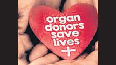 As per the guidelines, both her kidneys, liver, pancreas and lungs were allocated to patients on the waiting list. The multi-organ transplant was conducted on Wednesday (REPRESENTATIVE PHOTO) As per the guidelines, both her kidneys, liver, pancreas and lungs were allocated to patients on the waiting list. The multi-organ transplant was conducted on Wednesday (REPRESENTATIVE PHOTO)