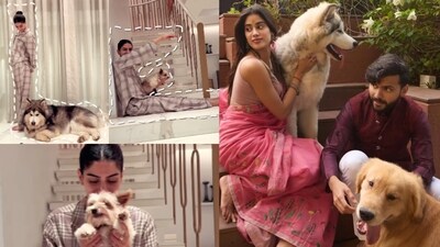 Khushi Kapoor takes help from her furry family members to promote Loveyapa Khushi Kapoor takes help from her furry family members to promote Loveyapa