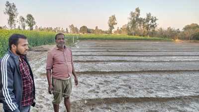 Pramod Kumar, , a farmer from a village in Barabanki, at his farm (HT) Pramod Kumar, , a farmer from a village in Barabanki, at his farm (HT)