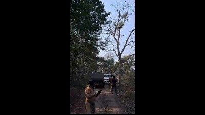 Screen grab of the viral video showing vehicle checking drive and presence of a non-safari vehicle in which officials said to be from transport department, entered the forest. (SOURCED) Screen grab of the viral video showing vehicle checking drive and presence of a non-safari vehicle in which officials said to be from transport department, entered the forest. (SOURCED)