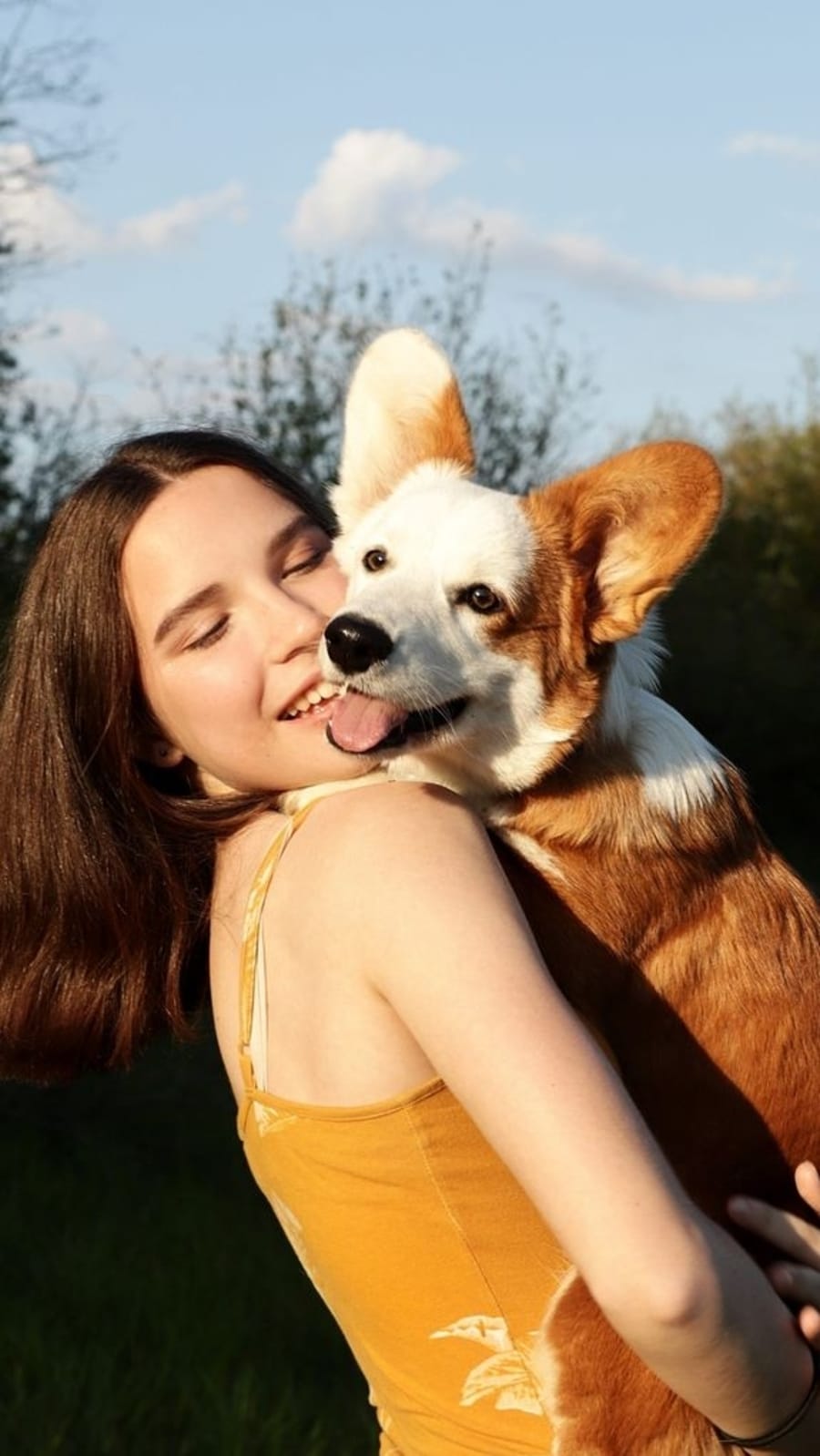 petdog8374