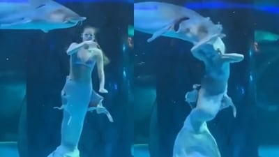 A Russian mermaid performer was attacked by a giant fish at a Chinese aquarium, resulting in injuries. (X/@froggyups) A Russian mermaid performer was attacked by a giant fish at a Chinese aquarium, resulting in injuries. (X/@froggyups)