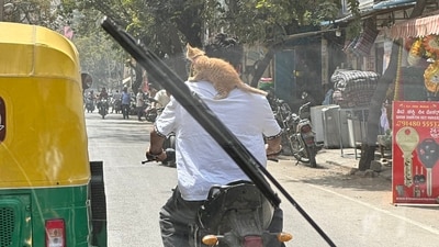 A Bengaluru biker rode with a kitten perched on his shoulder. (X/@JassilJamal) A Bengaluru biker rode with a kitten perched on his shoulder. (X/@JassilJamal)