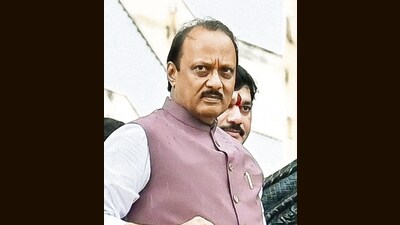 Pawar suggested that water currently used by the Tata power project in Mulshi would need to be redirected to urban areas to meet the growing demand. (Hindustan Times) Pawar suggested that water currently used by the Tata power project in Mulshi would need to be redirected to urban areas to meet the growing demand. (Hindustan Times)