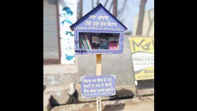 The box libraries have been built at a cost of ₹8,000 each (HT Photo) The box libraries have been built at a cost of ₹8,000 each (HT Photo)