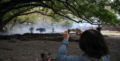 Elderly tourists relive memories as Xiapu stages picturesque rural scenes. (AFP) Elderly tourists relive memories as Xiapu stages picturesque rural scenes. (AFP)