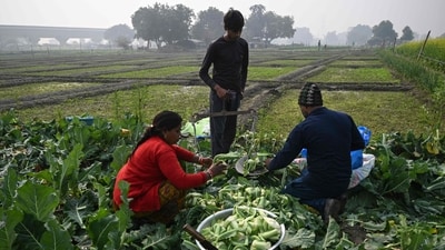 The finance minister also announced the PM Dhandhanya Krisihi Yojna will cover 100 districts with low productivity and cover 1.7 crore farmers. The programme will be launched with states to increase ample opportunities. (Arun Sankar/AFP) The finance minister also announced the PM Dhandhanya Krisihi Yojna will cover 100 districts with low productivity and cover 1.7 crore farmers. The programme will be launched with states to increase ample opportunities. (Arun Sankar/AFP)