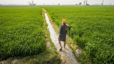 The agricultural sector saw a total allocation for <span class='webrupee'>₹</span>1.27 lakh crore, which is 2.9% less than the <span class='webrupee'>₹</span>1.31 lakh crore allocated in 2024-25. (Shiva Sharma/PTI) The agricultural sector saw a total allocation for <span class='webrupee'>₹</span>1.27 lakh crore, which is 2.9% less than the <span class='webrupee'>₹</span>1.31 lakh crore allocated in 2024-25. (Shiva Sharma/PTI)