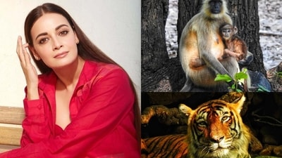 Dia Mirza Rekhi and some of the photographs she has shot over the years Dia Mirza Rekhi and some of the photographs she has shot over the years