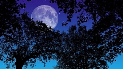 5. Red Sea Nights and Full Moon Hikes - Saudi’s Red Sea region is set to become the world’s largest Dark Sky Reserve. Luxury resorts like The St. Regis offer mesmerizing night-sky experiences, while Full Moon Hikes take you on a journey through Bedouin history under the stars. (Image by Pixabay) 5. Red Sea Nights and Full Moon Hikes - Saudi’s Red Sea region is set to become the world’s largest Dark Sky Reserve. Luxury resorts like The St. Regis offer mesmerizing night-sky experiences, while Full Moon Hikes take you on a journey through Bedouin history under the stars. (Image by Pixabay)