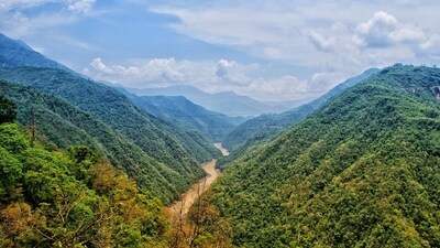 The National Mission for a Green India, which works to expand forest cover, protect existing forests and prevent wildfires, will receive <span class='webrupee'>₹</span>220 crore in 2025-26, an increase from <span class='webrupee'>₹</span>160 crore last year. (Unsplash) The National Mission for a Green India, which works to expand forest cover, protect existing forests and prevent wildfires, will receive <span class='webrupee'>₹</span>220 crore in 2025-26, an increase from <span class='webrupee'>₹</span>160 crore last year. (Unsplash)