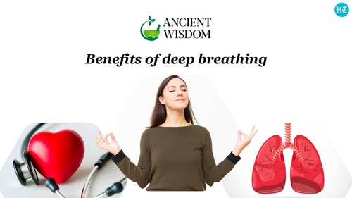 Deep breathing is more relevant in today's world than ever before in the light of increasing stress, deteriorating air, decreased immunity and growing threat of chronic diseases like diabetes, asthma, heart disease, blood pressure among a host of other health issues.