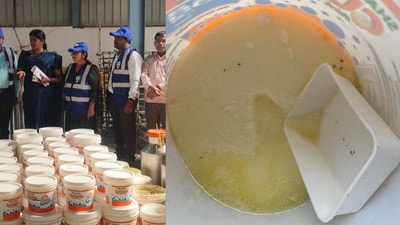 Reportedly, handlers were not following adequate sanitary measures during processing and handling. (X) Reportedly, handlers were not following adequate sanitary measures during processing and handling. (X)