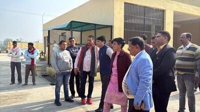 The Greater Noida authority has been under pressure to address the rising number of stray cattle, which often wander onto highways, causing accidents and disrupting daily life. (HT Photo) The Greater Noida authority has been under pressure to address the rising number of stray cattle, which often wander onto highways, causing accidents and disrupting daily life. (HT Photo)