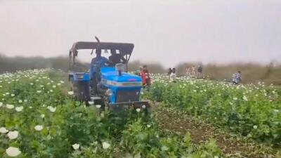 The first drive was conducted at Sialmari area on January 23-24 (Video grab) The first drive was conducted at Sialmari area on January 23-24 (Video grab)
