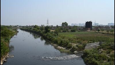 The affidavit also disclosed that there are 366 industries in the Hindon river basin, of which 123 are non-compliant with pollution norms. (Sunil Ghosh/HT Photo)