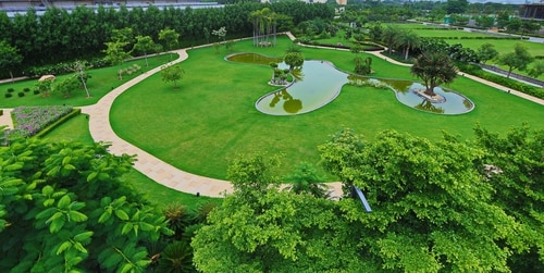 An oasis of space and greenery