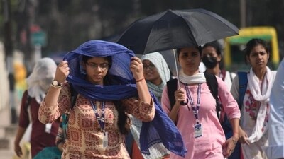 The city has been experiencing an unusual spike in temperatures since last weekend. The city has been experiencing an unusual spike in temperatures since last weekend.