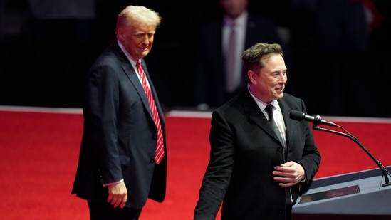 Elon Musk with US President Donald Trump (AP/File)