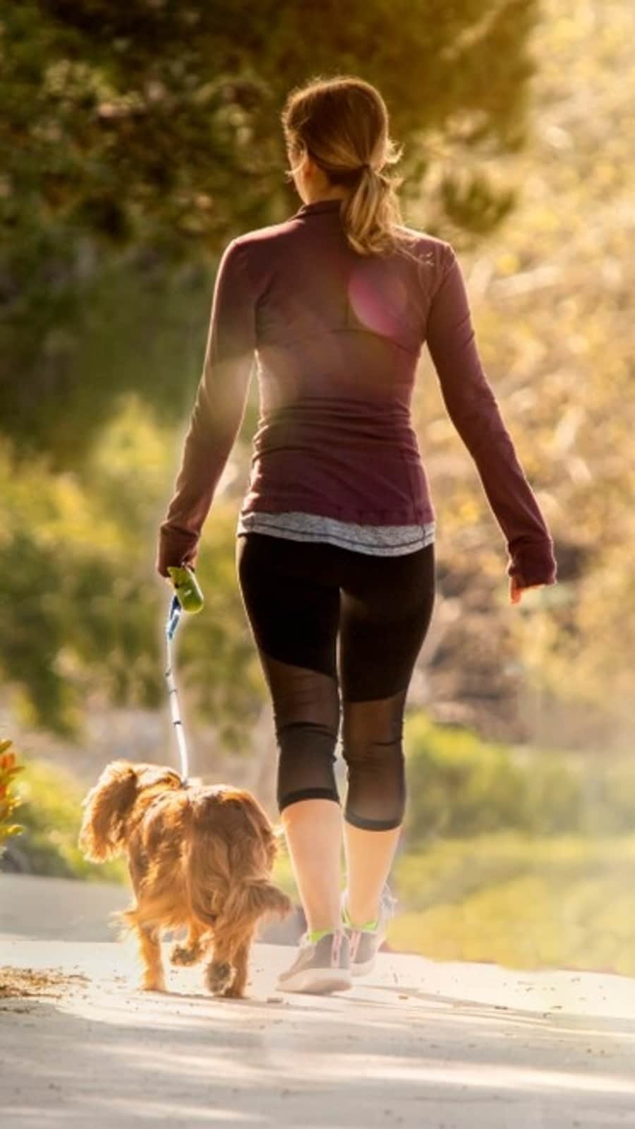 walking290