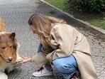 Toco the human collie opens a ‘zoo’ where other people can become animals Toco the human collie opens a ‘zoo’ where other people can become animals