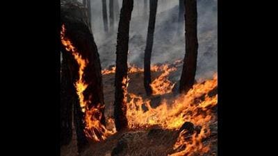 Jammu and Kashmir has witnessed a rise in forest fires due to prolonged dry spell. For the past two months, over two dozen forest fire incidents were reported in different parts of J&K. (PTI File) Jammu and Kashmir has witnessed a rise in forest fires due to prolonged dry spell. For the past two months, over two dozen forest fire incidents were reported in different parts of J&K. (PTI File)