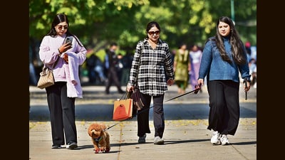 Shoppers making the most of the sunny weather at Sukhna Lake in Chandigarh on Wednesday. Clear skies are expected to continue in the coming days. (Ravi Kumar/HT) Shoppers making the most of the sunny weather at Sukhna Lake in Chandigarh on Wednesday. Clear skies are expected to continue in the coming days. (Ravi Kumar/HT)