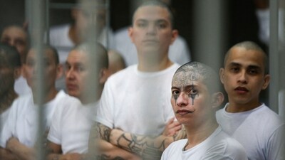 Inmates stand in their cell, during a tour in the "Terrorism Confinement Center" (CECOT) complex, which according to El Salvador's President, Nayib Bukele, is designed to hold 40,000 inmates, in Tecoluca, El Salvador October 12, 2023. REUTERS/Jose Cabezas/File Photo (REUTERS)