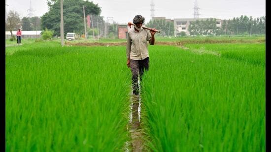 Of the 174 wells monitored in Punjab over the past five years, 67.2%, or 117 have registered a dip in water level, according to a data shared by Union minister of state for Jal Shakti, Raj Bhushan Choudhary in the Rajya Sabha on February 3.