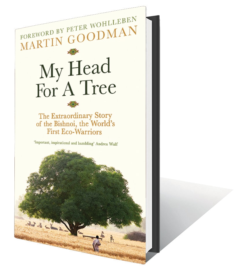 272pp, ₹699; Hachette 272pp, ₹699; Hachette
